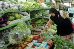 Pengguna dibebankan pula dengan kenaikan harga sayur-sayuran