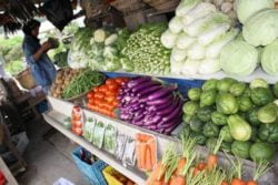 Sayur sayuran