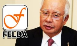 Najib Felda