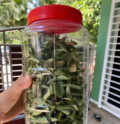 Daun kari